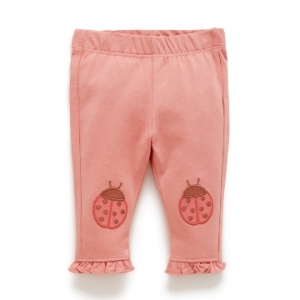Purebaby有機棉嬰兒舒棉褲-粉紅瓢蟲